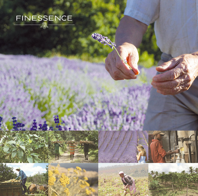 FINESSENCE