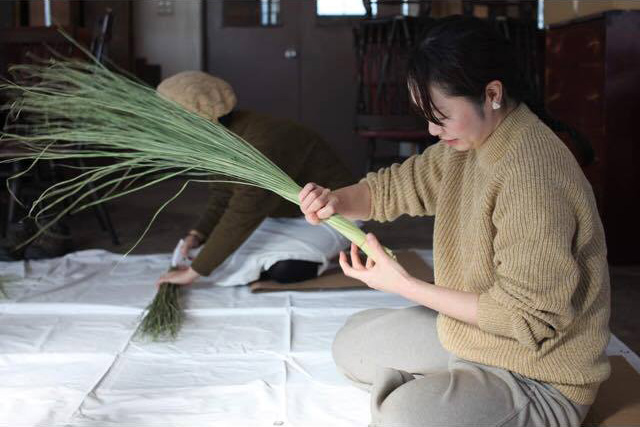 榊麻美植物研究所