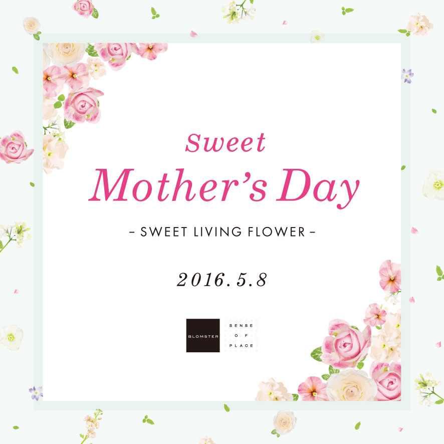 Sweet Mother’s Day -SWEET LIVING FLOWER-