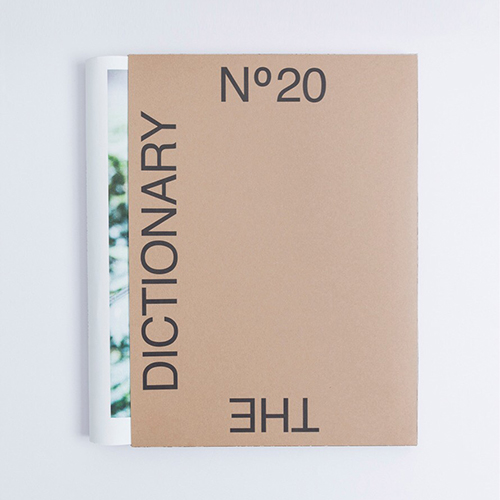 THE DICTIONARY No.20