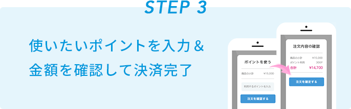 STEP3 使いたいポイントを入力&金額を確認して決済完了