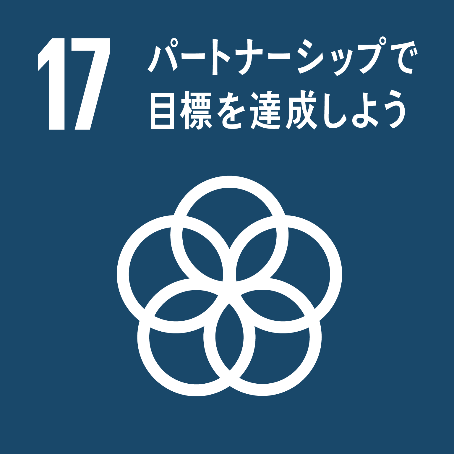 17 ペートナーシップで目標を達成しよう