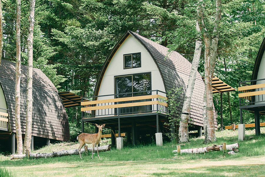 CABIN キャビン コンフォート A