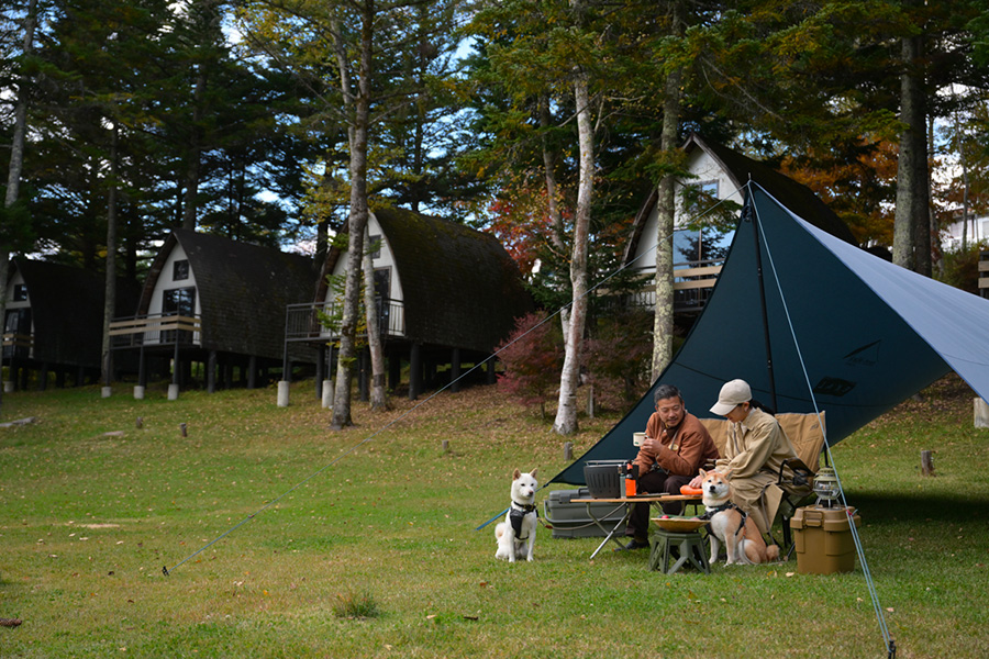 PET CABIN ペットキャビン eco